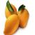  This year people Dussehri mango very low