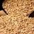  Backward procurement of wheat in Punjab, Haryana